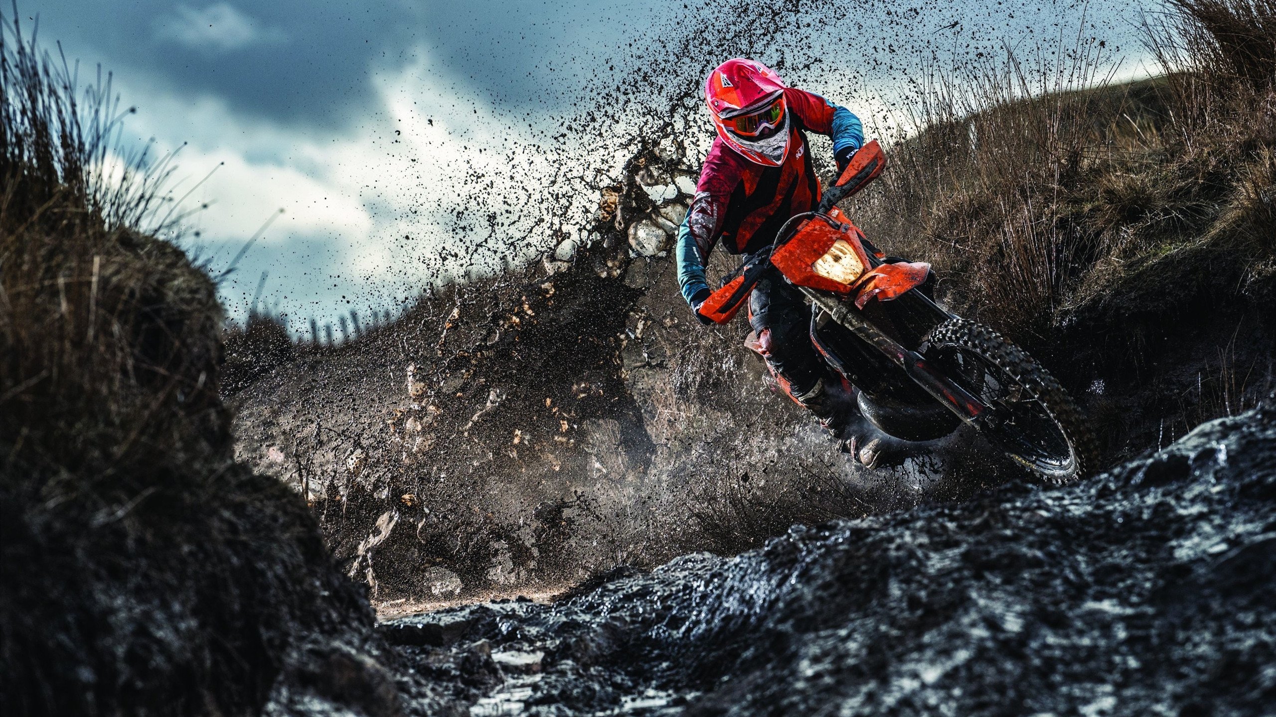 世界杯2026-切特·霍姆格伦，雷霆划破长夜的寂静